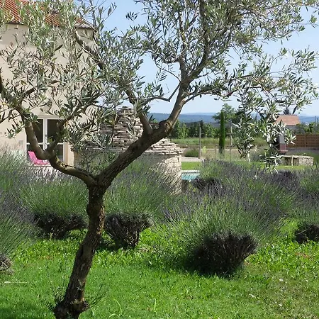Les Jardins De Bouteille Villa Manosque Room photo